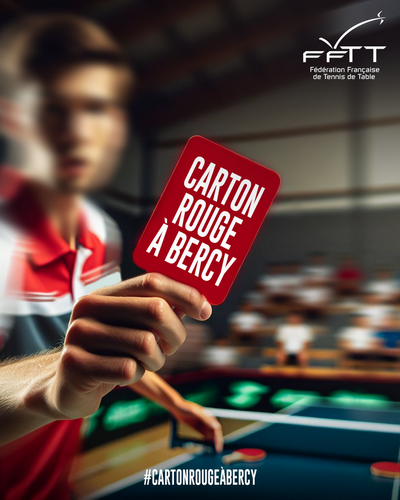 CARTON ROUGE À BERCY2