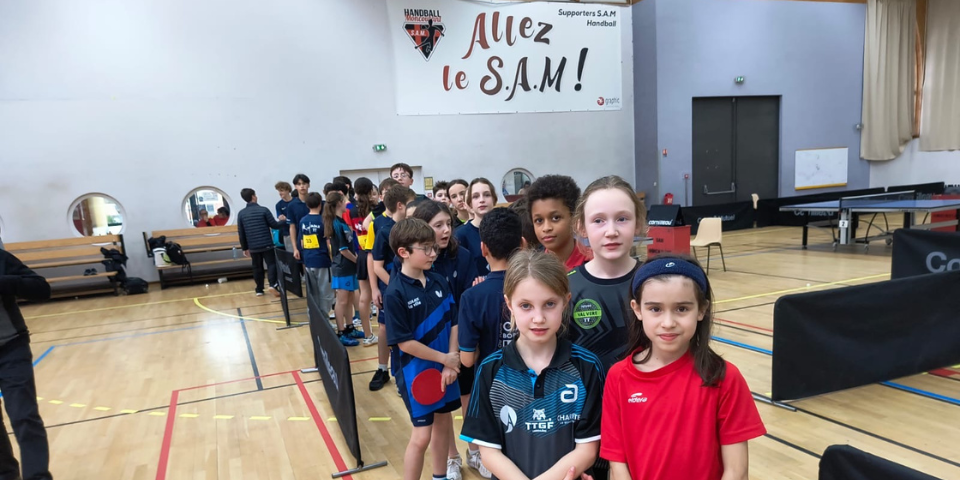 13---FINALES-REGIONALES-2026