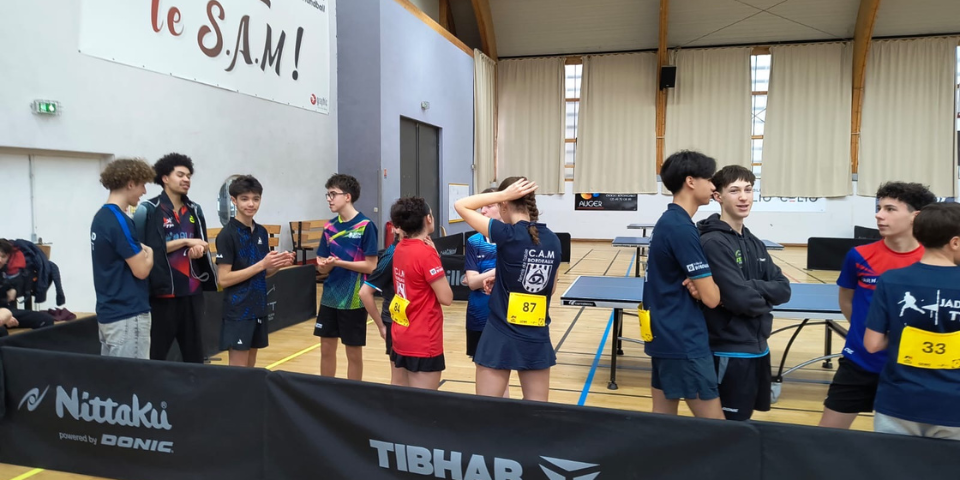 14---FINALES-REGIONALES-2026